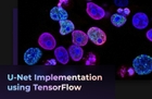 U-Net 구현으로 배우는 딥러닝 논문 구현 with TensorFlow 2.0 - 딥러닝 의료영상 분석